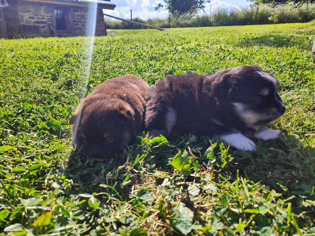 Bébé AREU ?